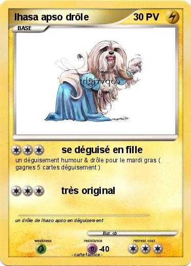 Pokemon lhasa apso drôle