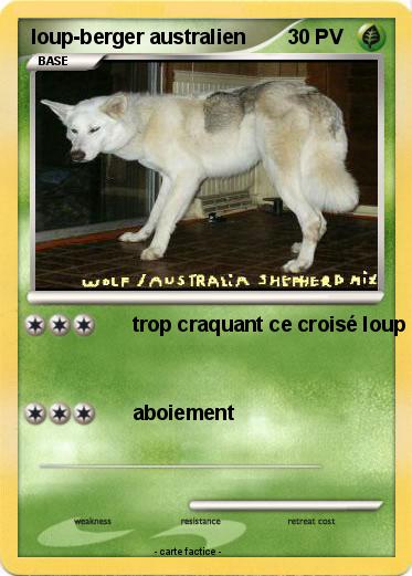 Pokemon loup-berger australien