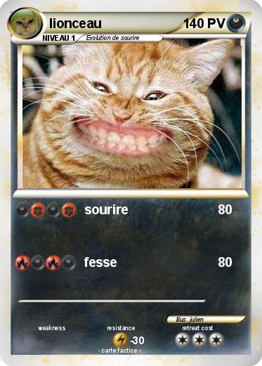 Pokemon lionceau