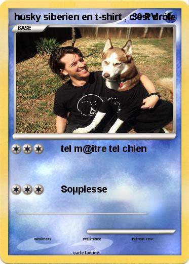 Pokemon husky siberien en t-shirt , c'est drôle