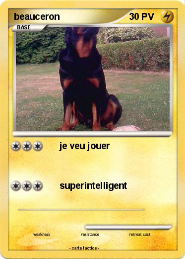 Pokemon beauceron
