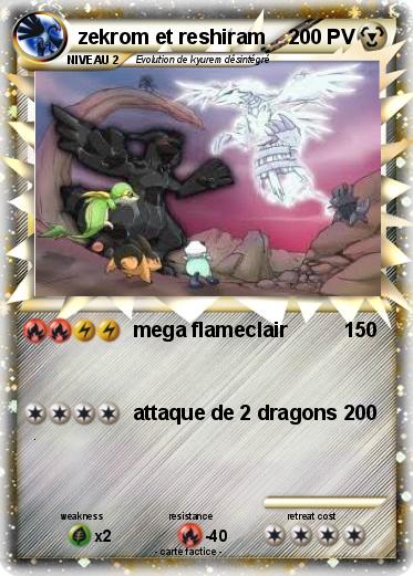 Pokemon zekrom et reshiram