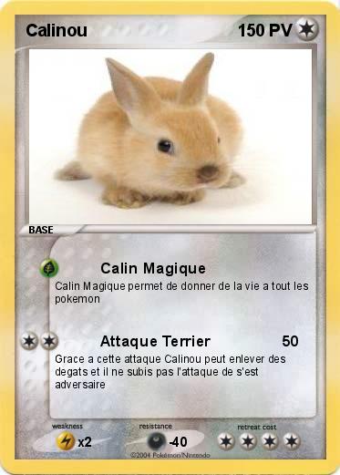 Pokemon Calinou