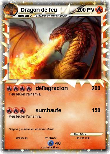 Pokemon Dragon de feu