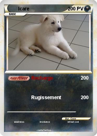 Pokemon Icare