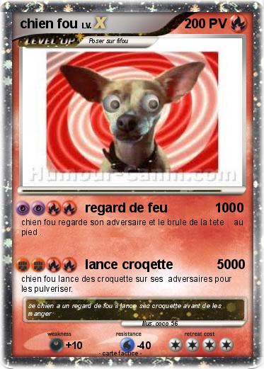 Pokemon chien fou