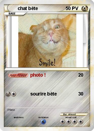 Pokemon chat bête
