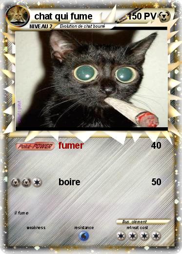 Pokemon chat qui fume