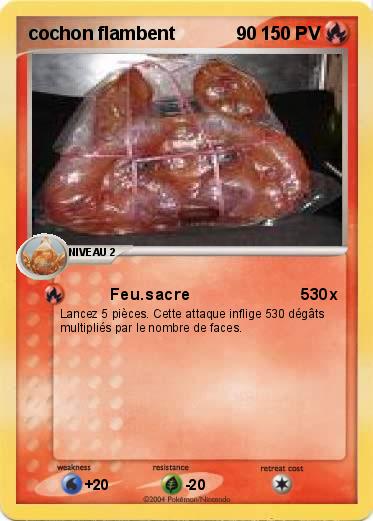 Pokemon cochon flambent            90
