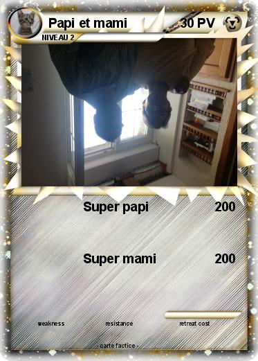 Pokemon Papi et mami
