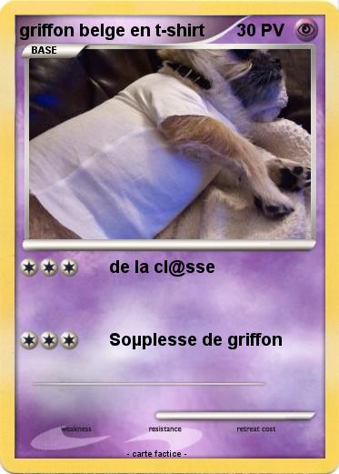 Pokemon griffon belge en t-shirt