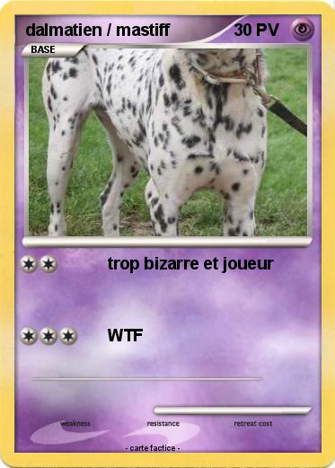 Pokemon dalmatien / mastiff