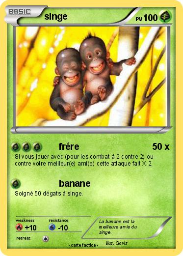 Pokemon singe