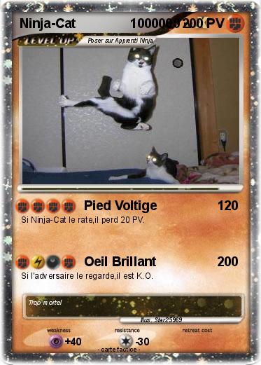 Pokemon Ninja-Cat               1000000