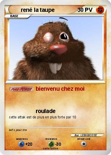 Pokemon rené la taupe