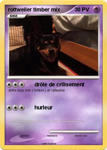 Pokemon rottweiler timber mix
