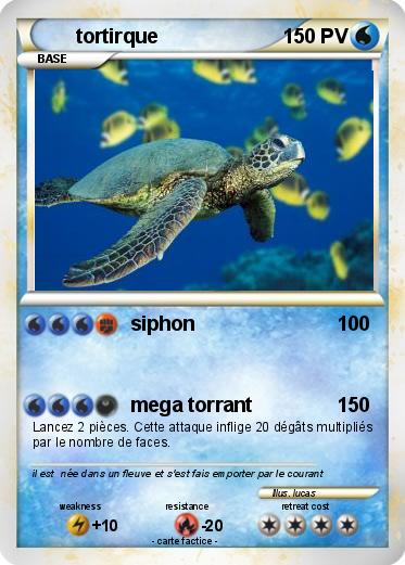 Pokemon tortirque