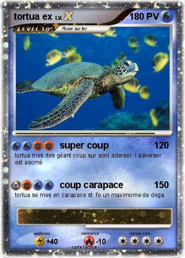 Pokemon tortua ex