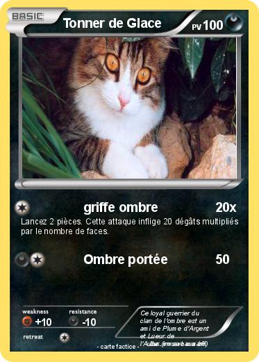 Pokemon Tonner de Glace