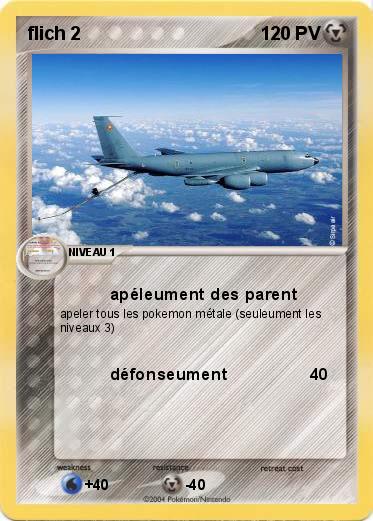 Pokemon flich 2