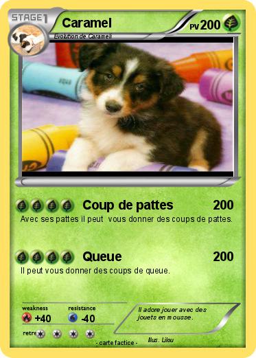 Pokemon Caramel