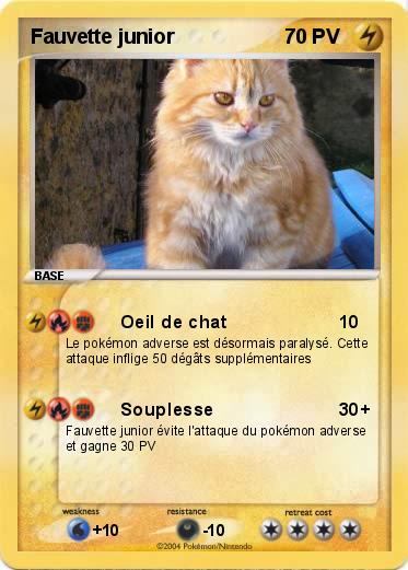 Pokemon Fauvette junior