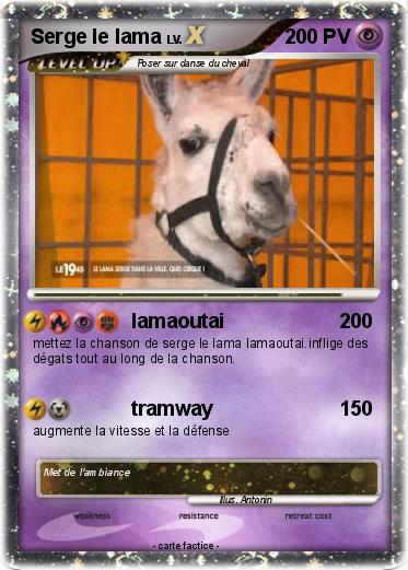 Pokemon Serge le lama