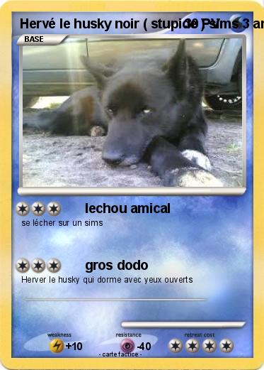 Pokemon Hervé le husky noir ( stupide ) sims 3 animaux & cie 3ds