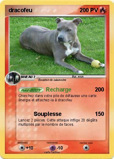 Pokemon dracofeu