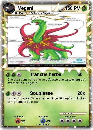 Pokemon Megani