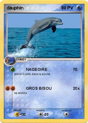 Pokemon dauphin