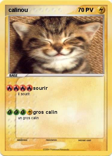 Pokemon calinou