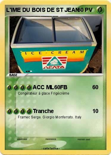Pokemon L'IME DU BOIS DE ST JEAN