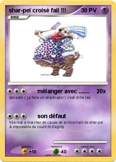 Pokemon shar-peï croisé fail !!!