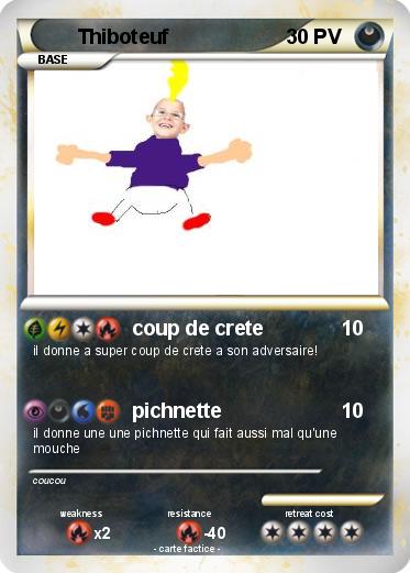 Pokemon Thiboteuf