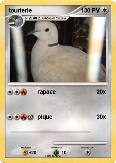 Pokemon tourterie