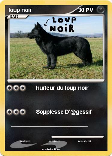 Pokemon loup noir