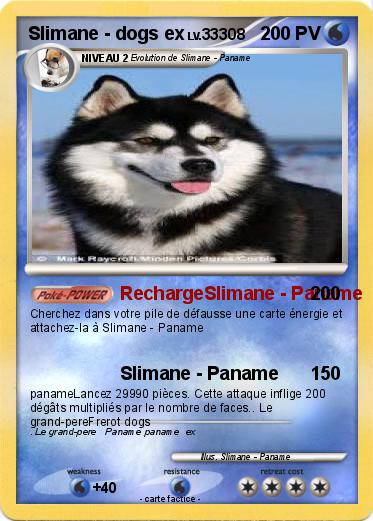 Pokemon Slimane - dogs ex