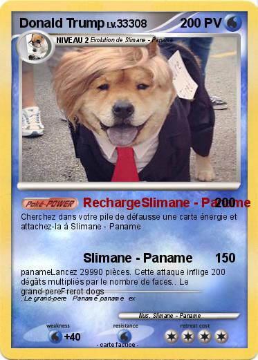 Pokemon Donald Trump