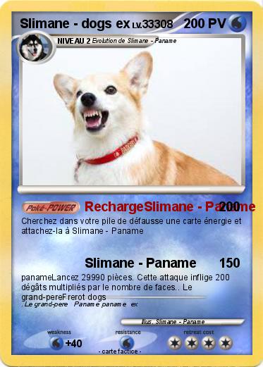 Pokemon Slimane - dogs ex