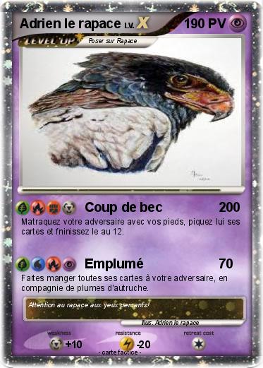 Pokemon Adrien le rapace
