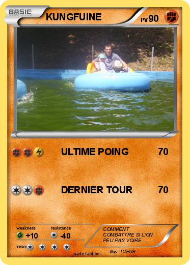 Pokemon KUNGFUINE
