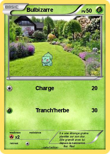 Pokemon Bulbizarre