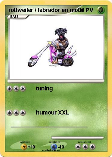 Pokemon rottweiler / labrador en moto