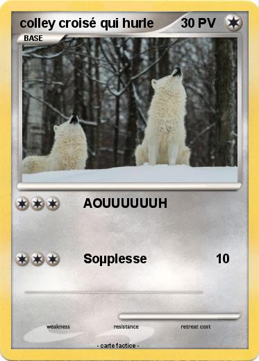 Pokemon colley croisé qui hurle