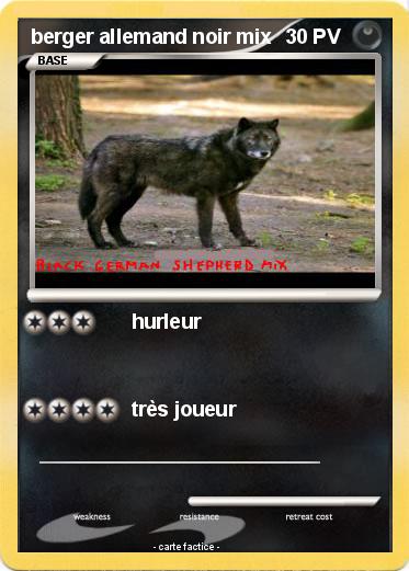 Pokemon berger allemand noir mix