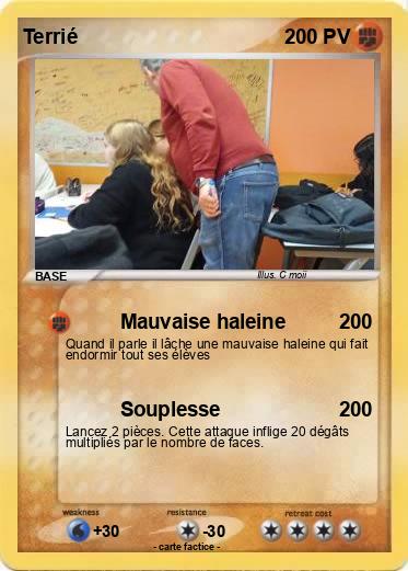 Pokemon Terrié