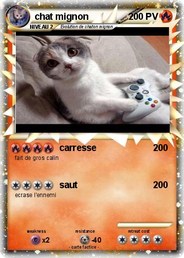 Pokemon chat mignon