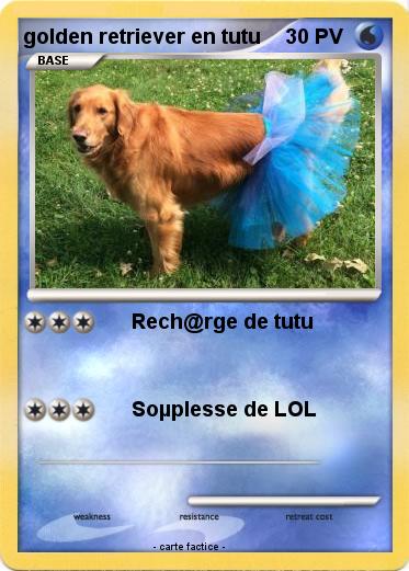 Pokemon golden retriever en tutu