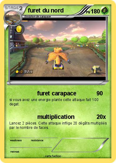 Pokemon furet du nord